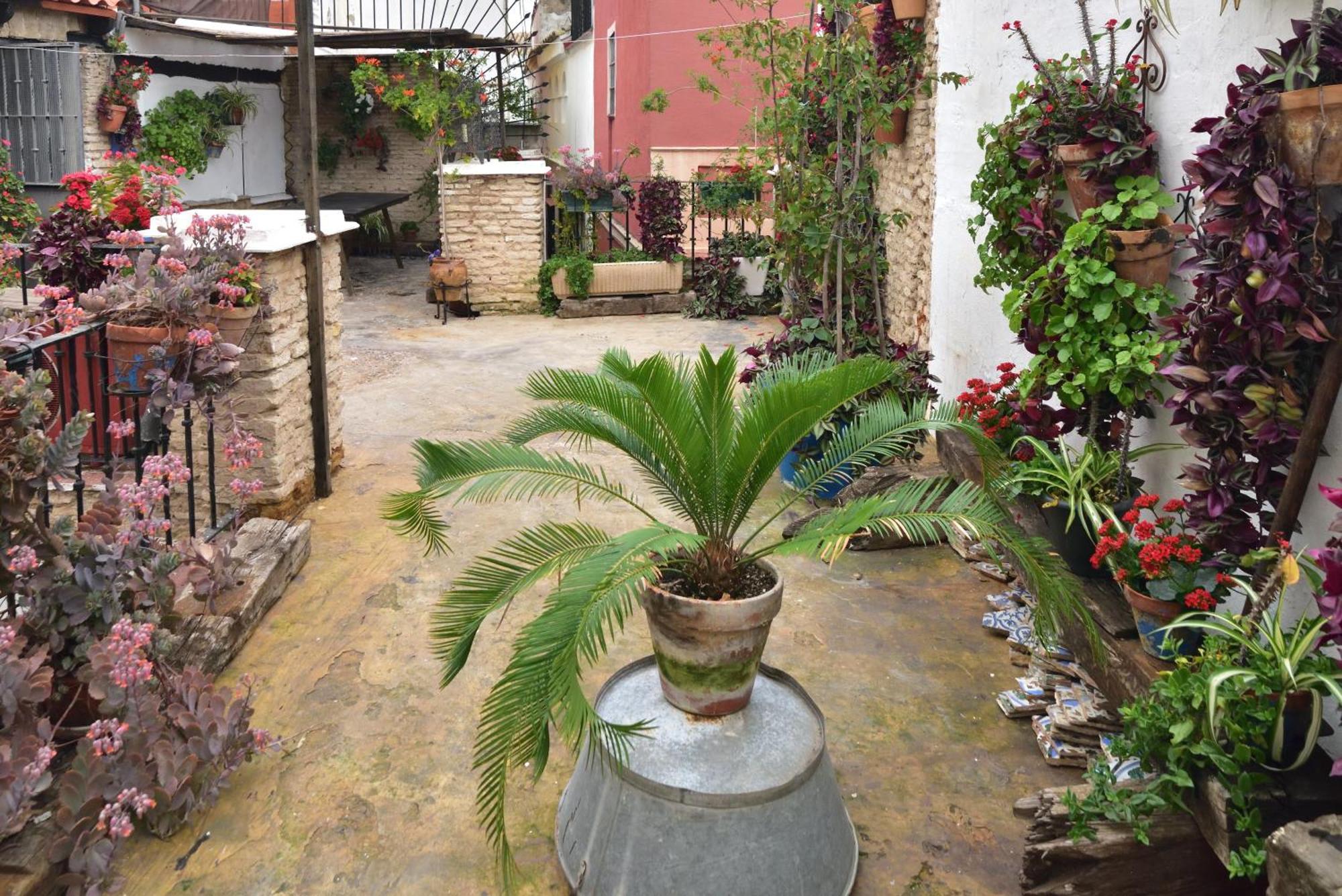 Suite Dona Ines Barrio Santacruz Sevilla Exteriér fotografie